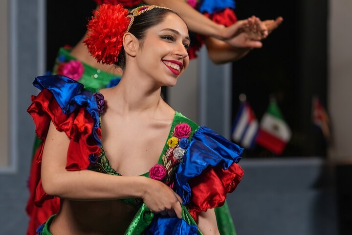 Only Turkish Show ( Entertainment) + Hotel Transfer ( Standart Backide Table)